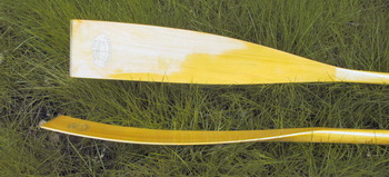 Boat Ride Jupiter, Formula 1 Sailing Boat Price, Wood Ship Kit Kit