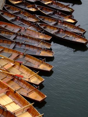 Small Catamaran Fishing Boats For Sale Us, Ch 4 Of Maths Class 10 Java, Build Your Own Houseboat Kits Journal