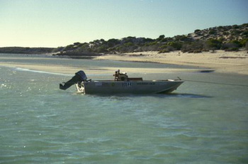 Expensive Pleasure Boats Crossword Reference