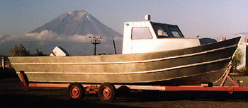 Radio Controlled Model Boat Kits Questionnaire