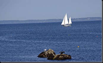 8 Berth Sailing Boat 84